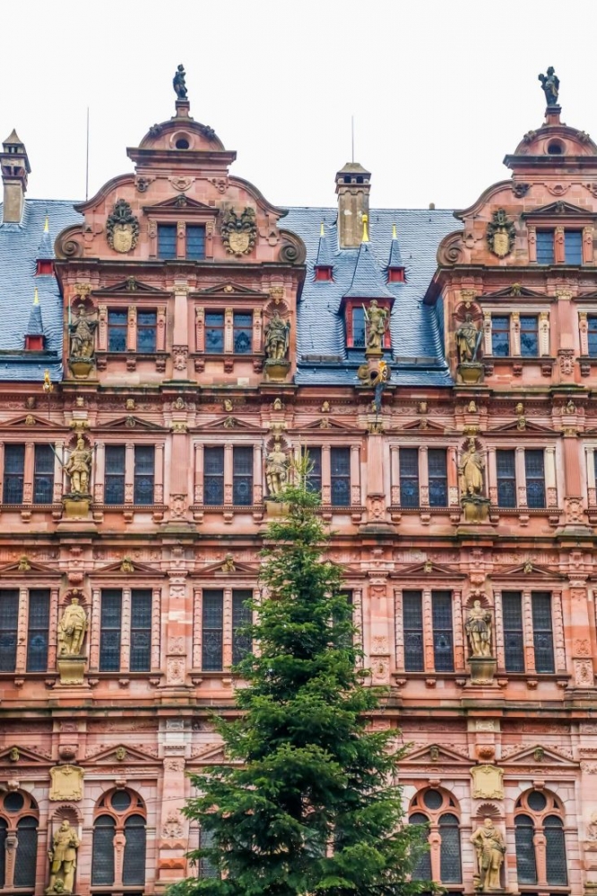 An ornate Heidelberg Castle building with a tree in front of it.