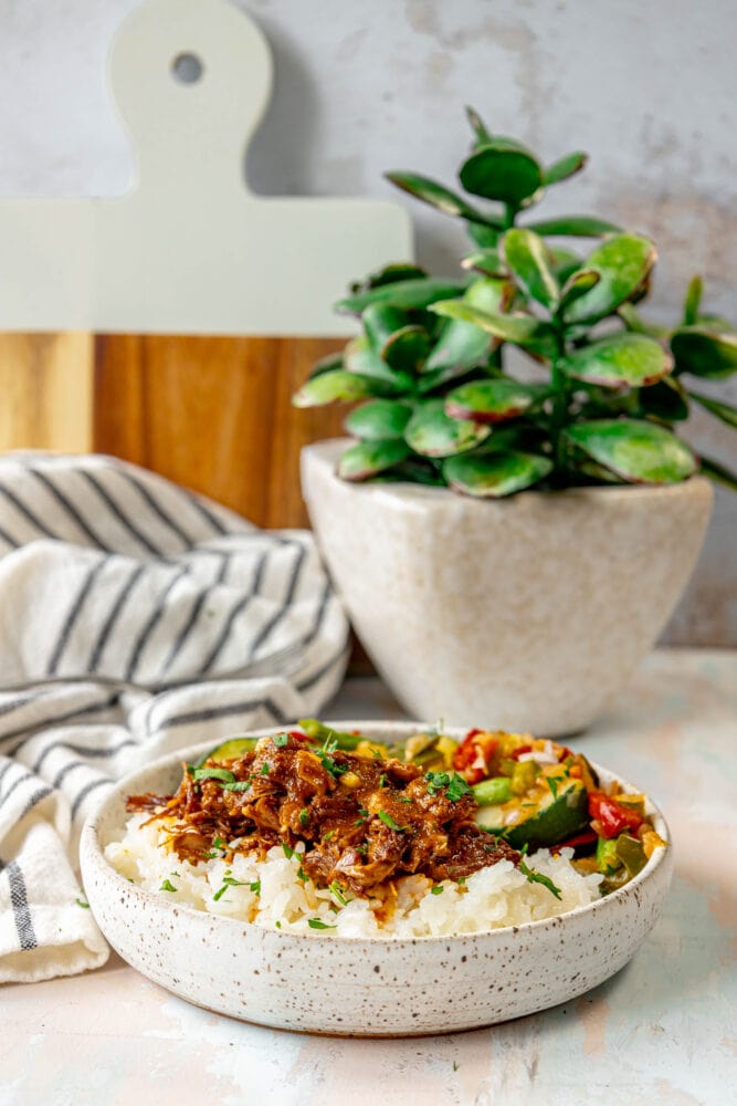 picture of short ribs shredded over rice and topped with cilantro and diced onion
